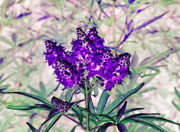 F 040E